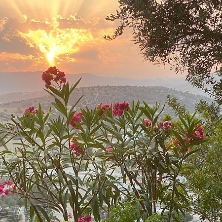 فيلا Endless Sunset Pentakomo المظهر الخارجي الصورة
