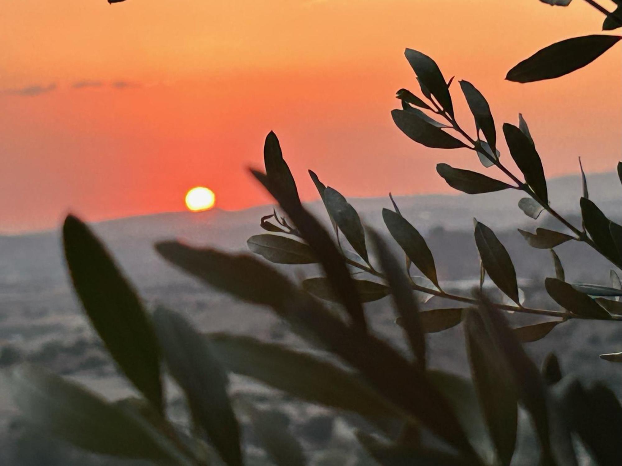 فيلا Endless Sunset Pentakomo المظهر الخارجي الصورة
