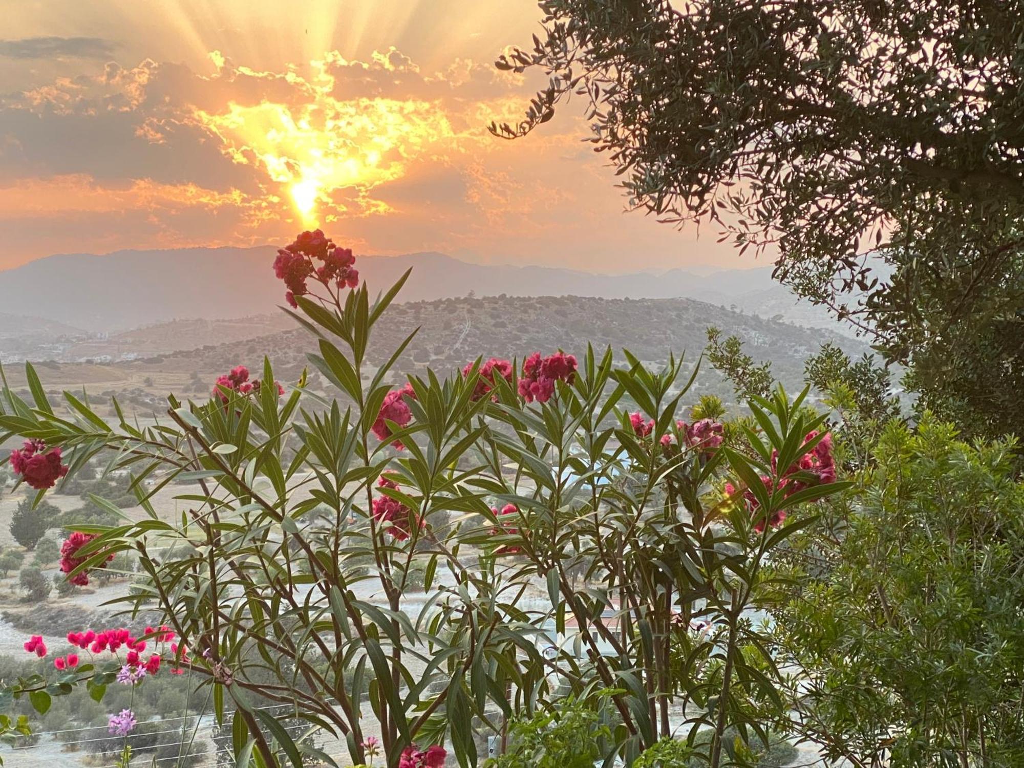 فيلا Endless Sunset Pentakomo المظهر الخارجي الصورة